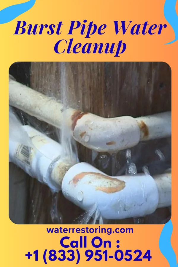 Burst Pipe Water Cleanup in Smicksburg, PA