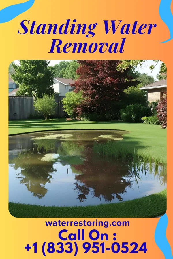 Standing Water Removal in Smicksburg, PA